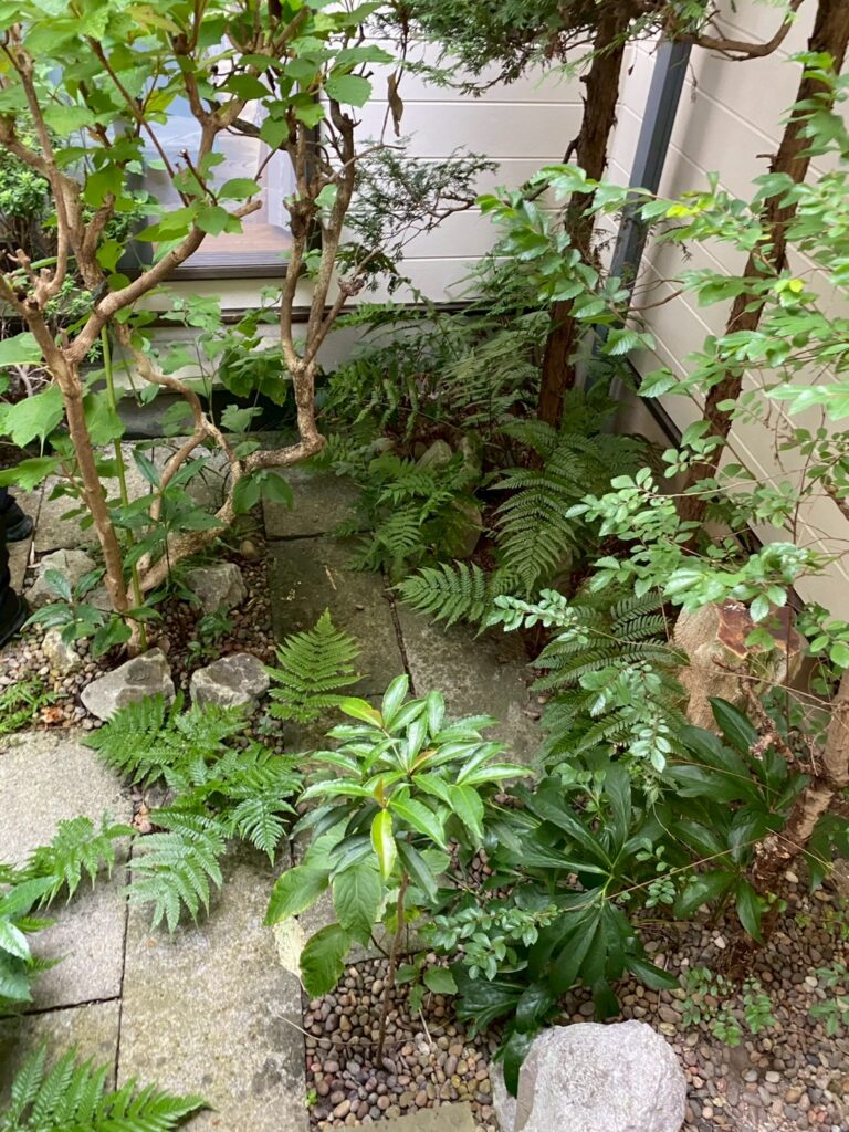 中庭ウッドデッキつける前